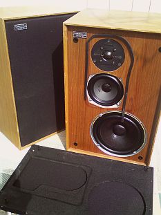 couple mixte Celestion Ditton 22